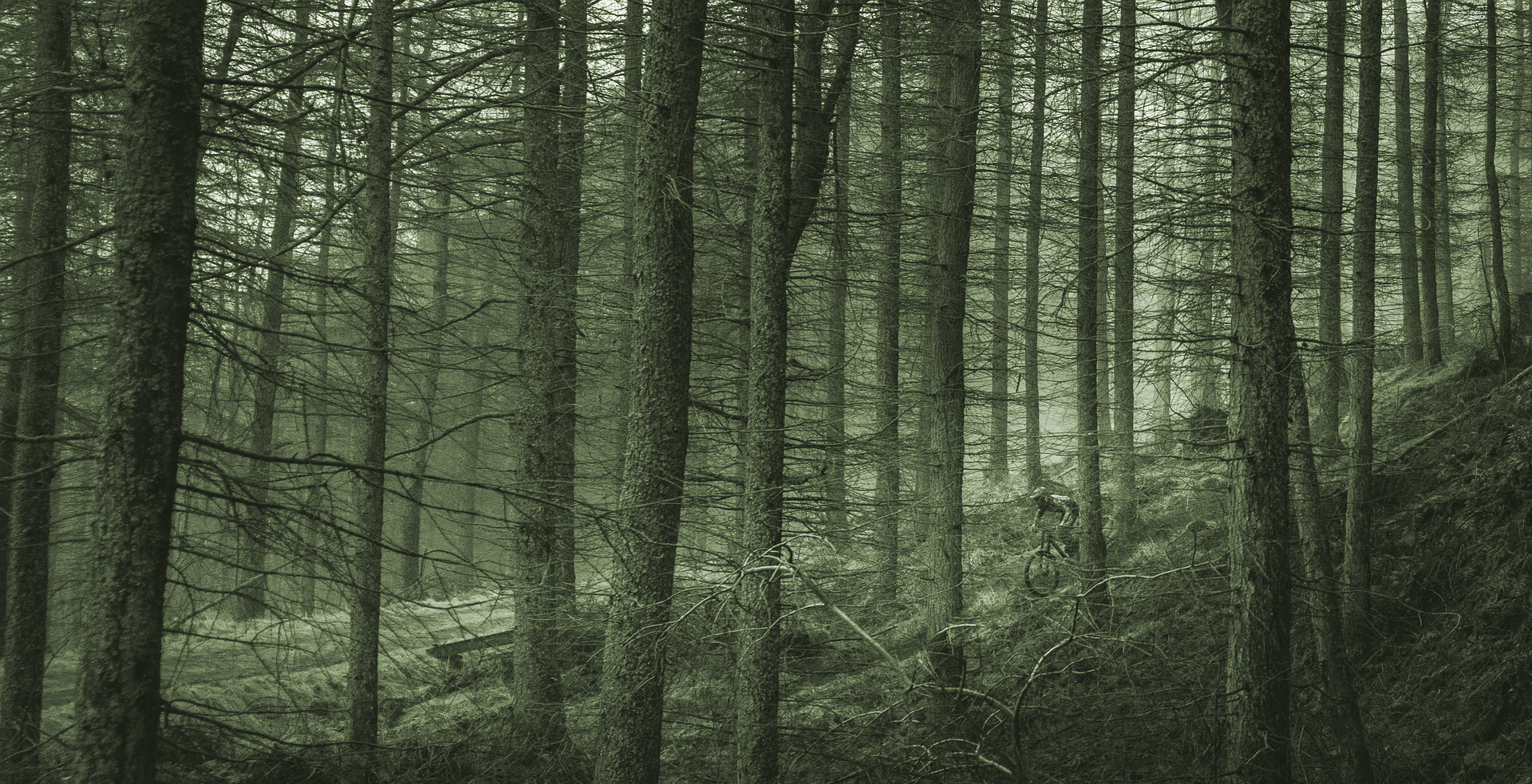 M-Wave Gepäckträger One-4-All